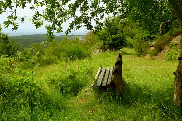 这句评价暗 这句评价暗