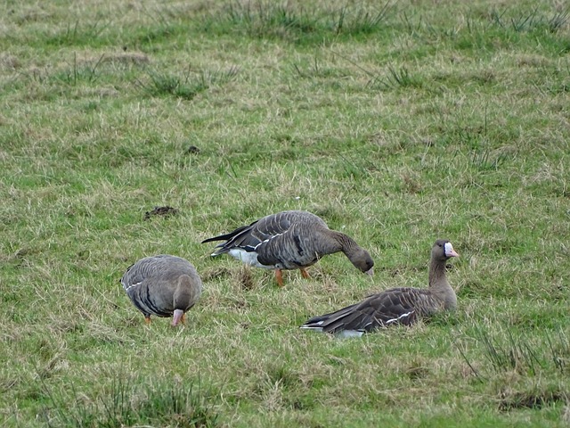 之一在于其 之一在于其